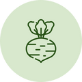 Rutabaga